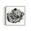 Framed black and white abstract art with eyes, mandalas, and fine line whimsical detail