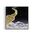 Framed dreamy artwork of a gold crescent moon and cloud against a starry night sky.